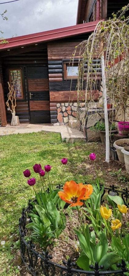Bungalow 3 With 1 Room 塞拉耶佛 外观 照片